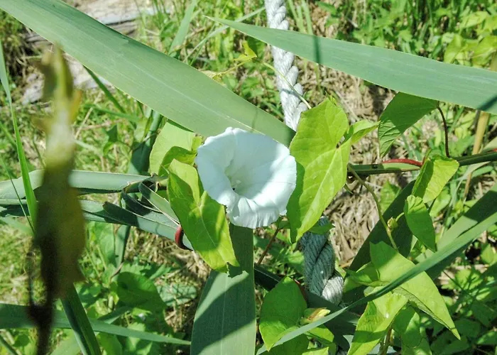 Pirjo - 50m From The Sea By Interhome Haderslev